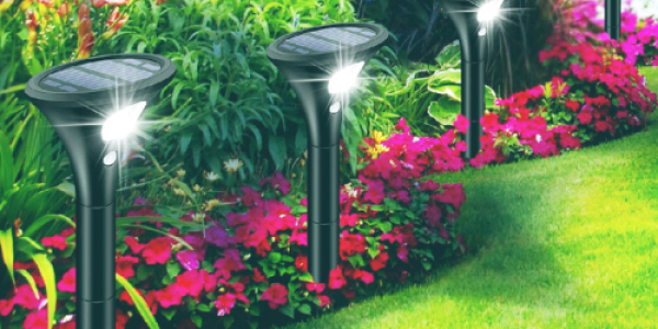 Outdoor Ground Lighting